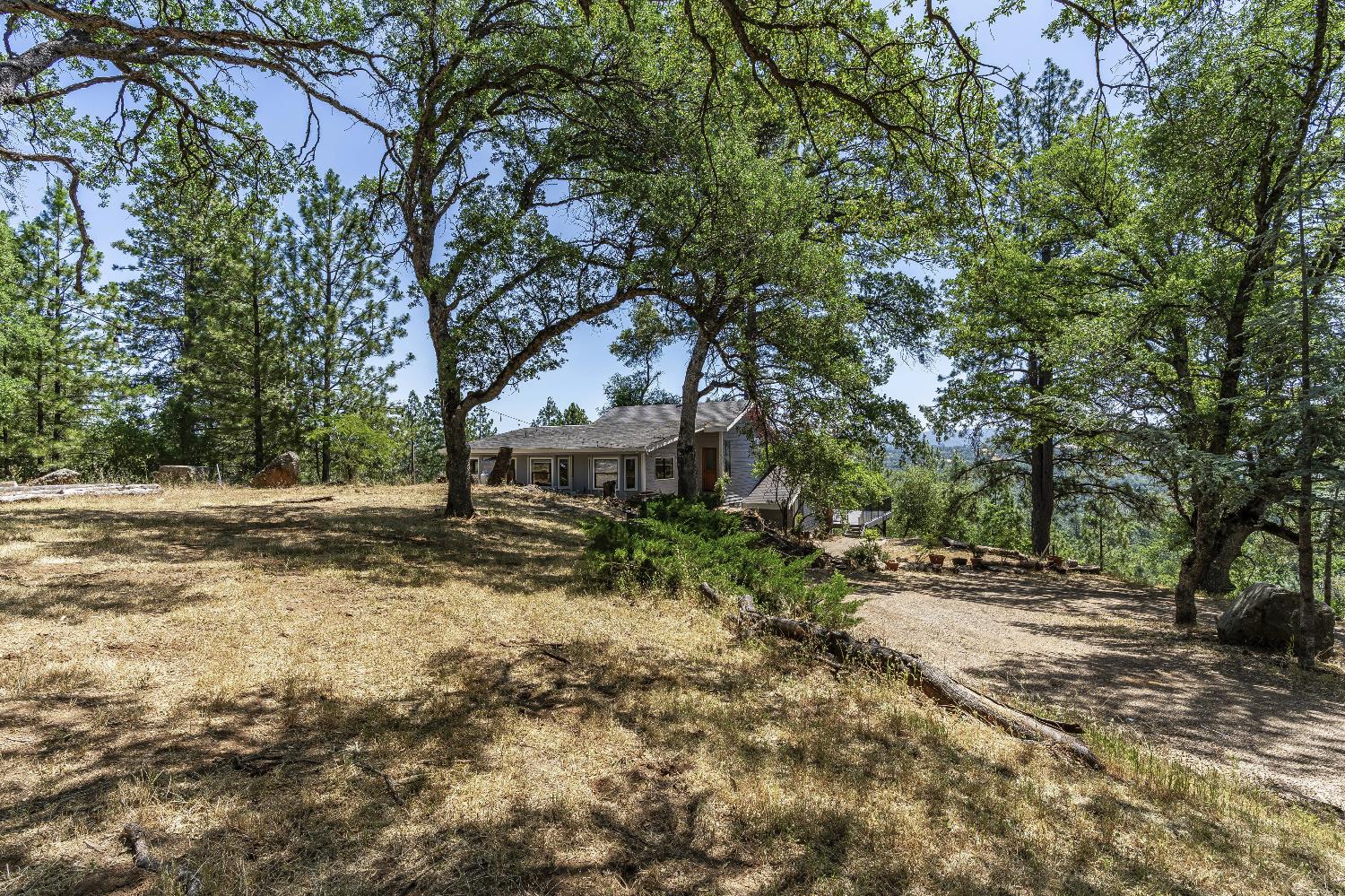 2261 Sand Ridge Road El Dorado, CA 95623 - Photo 37 of 61 a view of backyard with tree