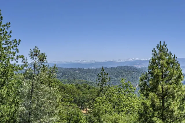 a view of house with yard outdoor seating and covered with trees