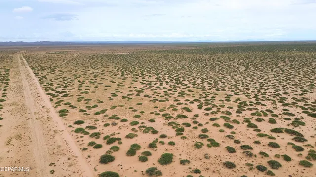 a view of a dry yard with wooden fence
