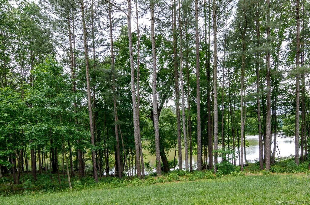 176 Streamwood Road Troutman, NC 28166 - Photo 4 of 24