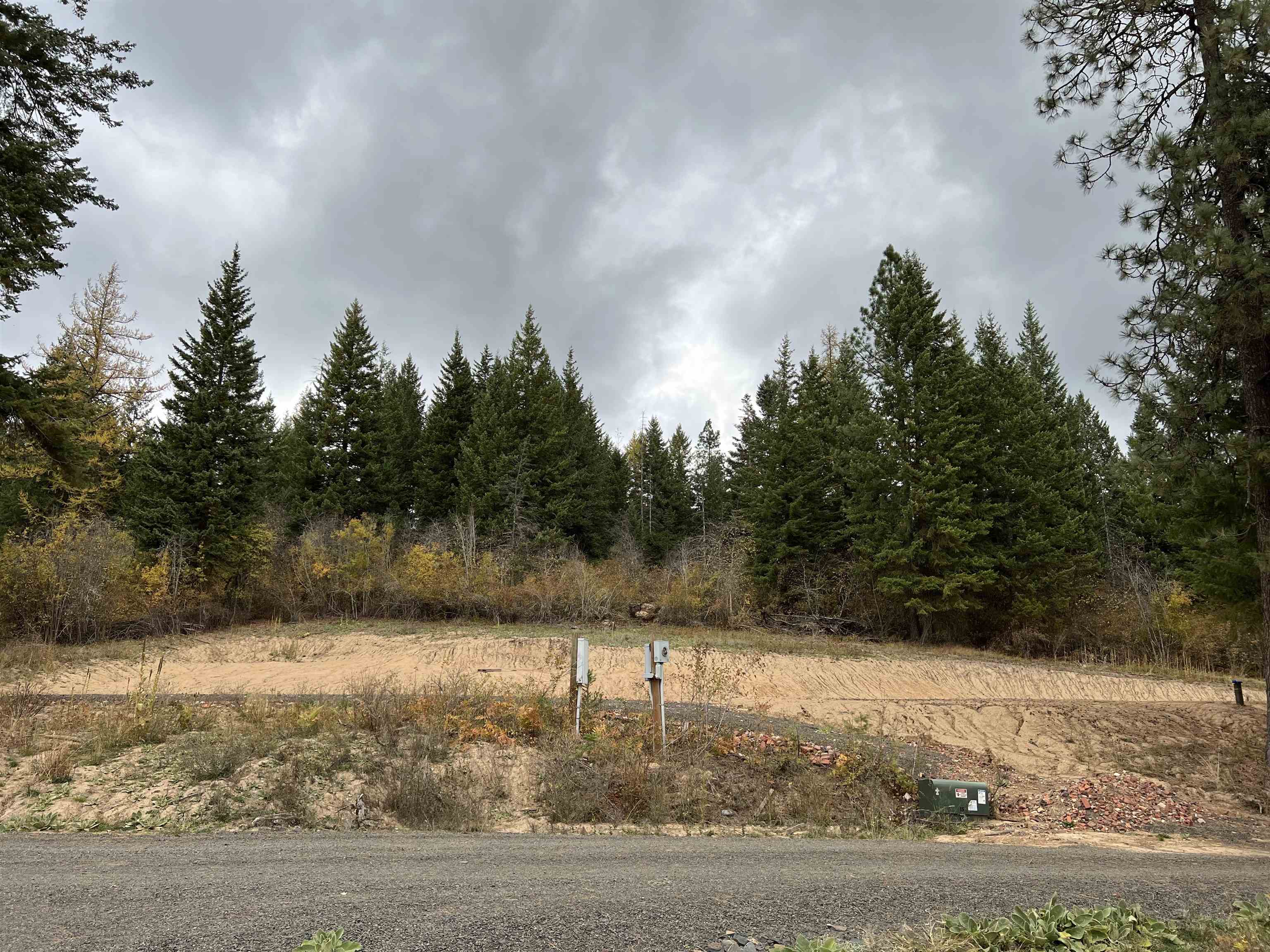 Xxxx South Starr Road Rockford, WA 99030 - Photo 11 of 14