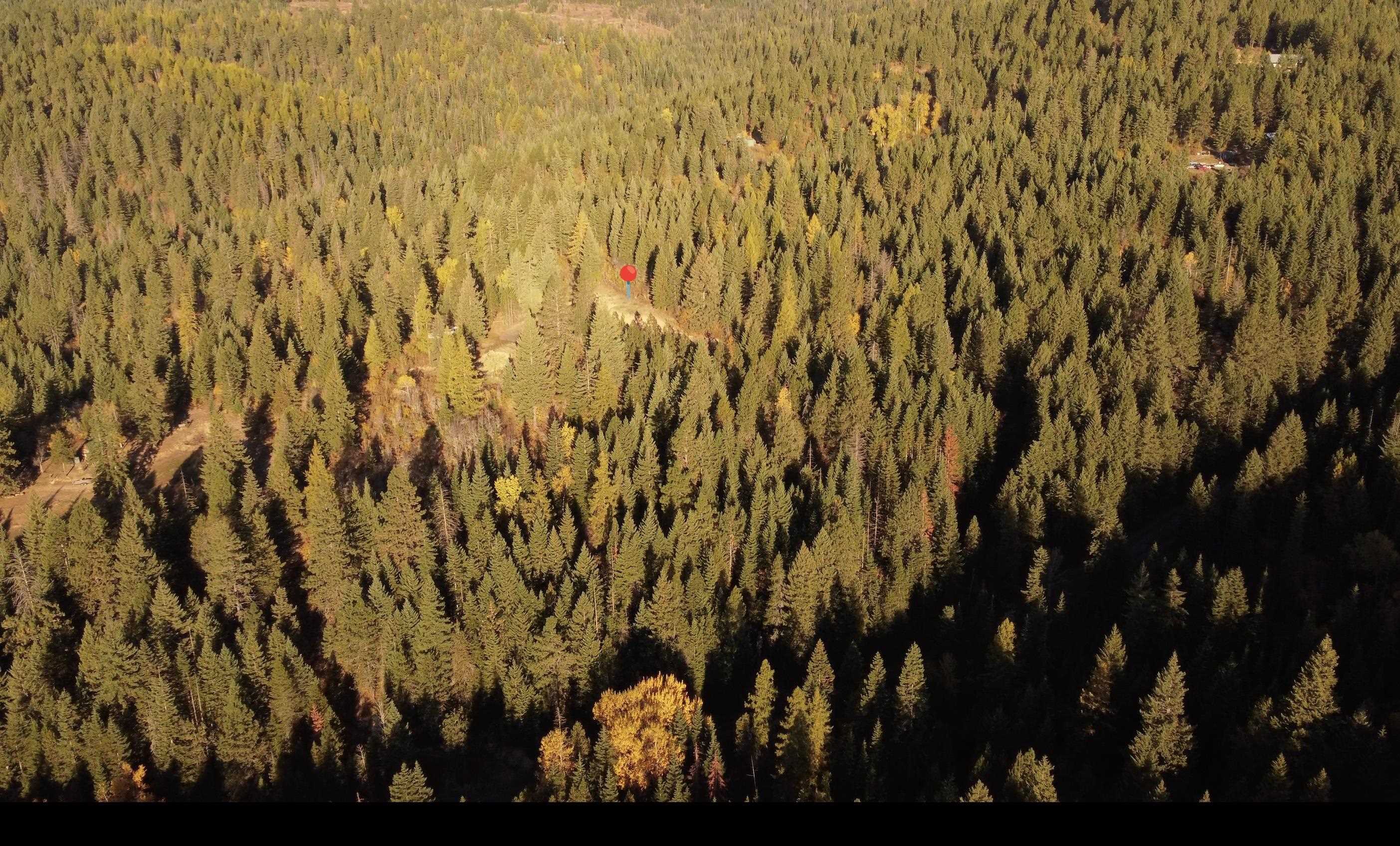 Xxxx South Starr Road Rockford, WA 99030 - Photo 8 of 14