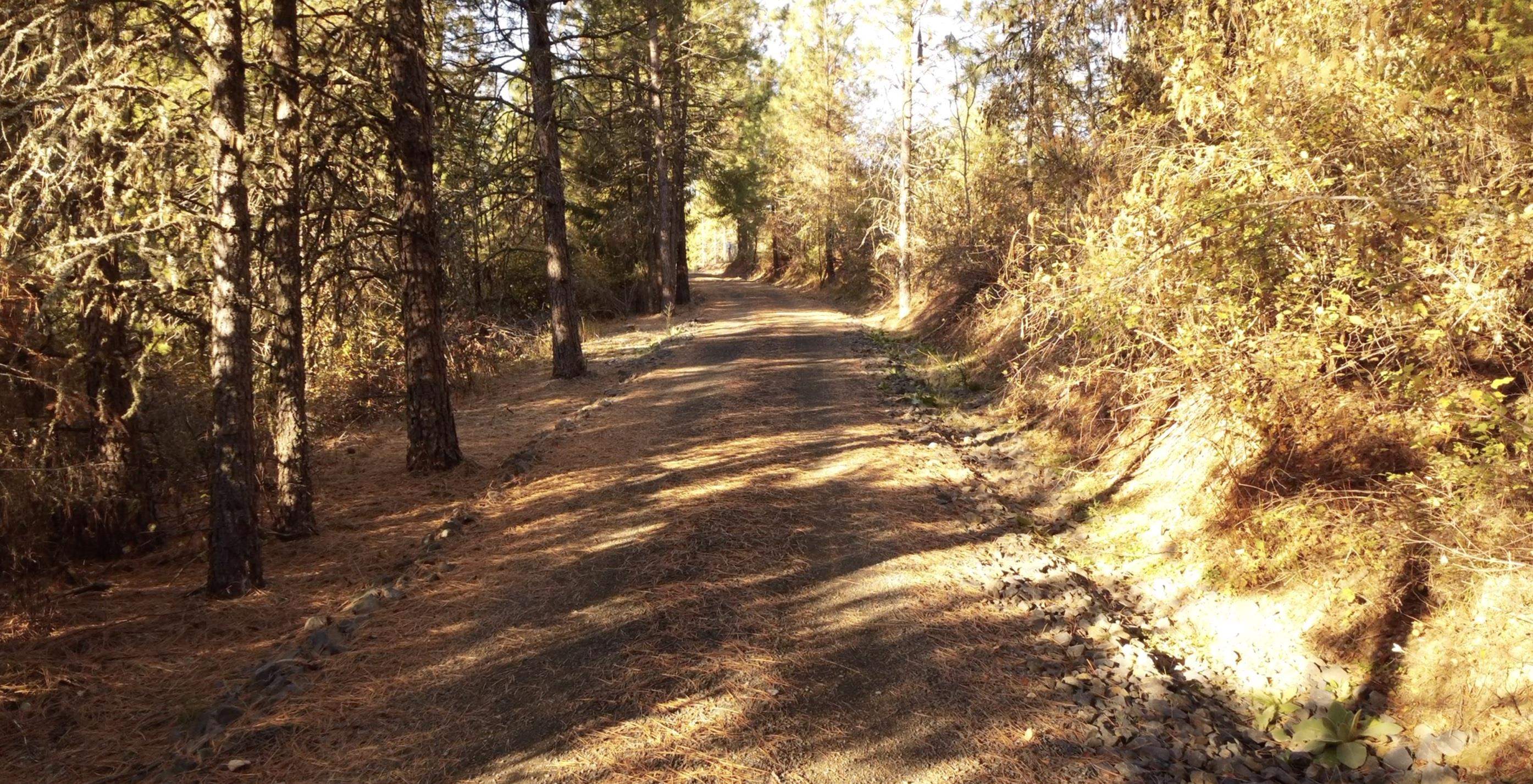 Xxxx South Starr Road Rockford, WA 99030 - Photo 10 of 14
