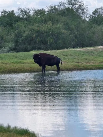 a lake with lots of green space and lake view