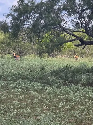 a view of outdoor space with mountain view
