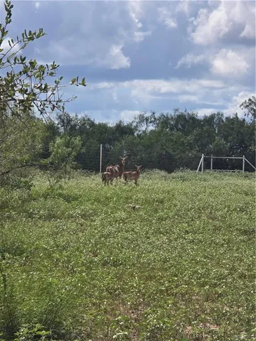 a view of a lake with a big yard