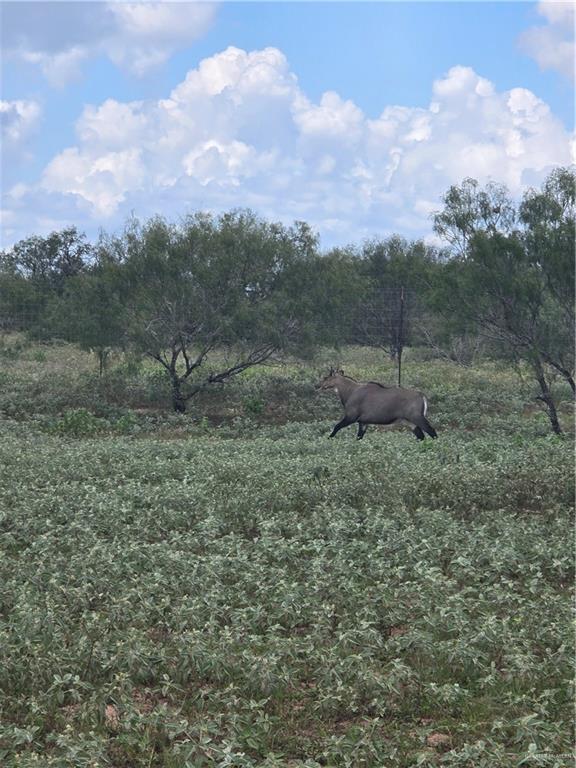 600 County Road 305 Encino, TX 78353 - Photo 21 of 28 a view of outdoor space and city view
