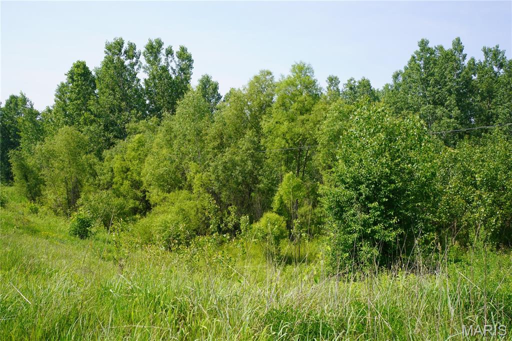 0 Mo-19 Hermann, MO 65041 - Photo 4 of 9