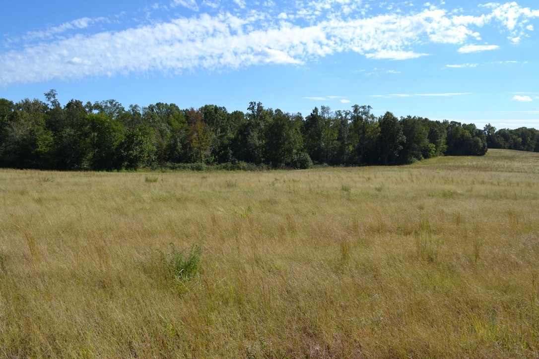 2 Hayes Ridge Road Indian Mound, TN 37079 - Photo 1 of 18 Gallery Image 1