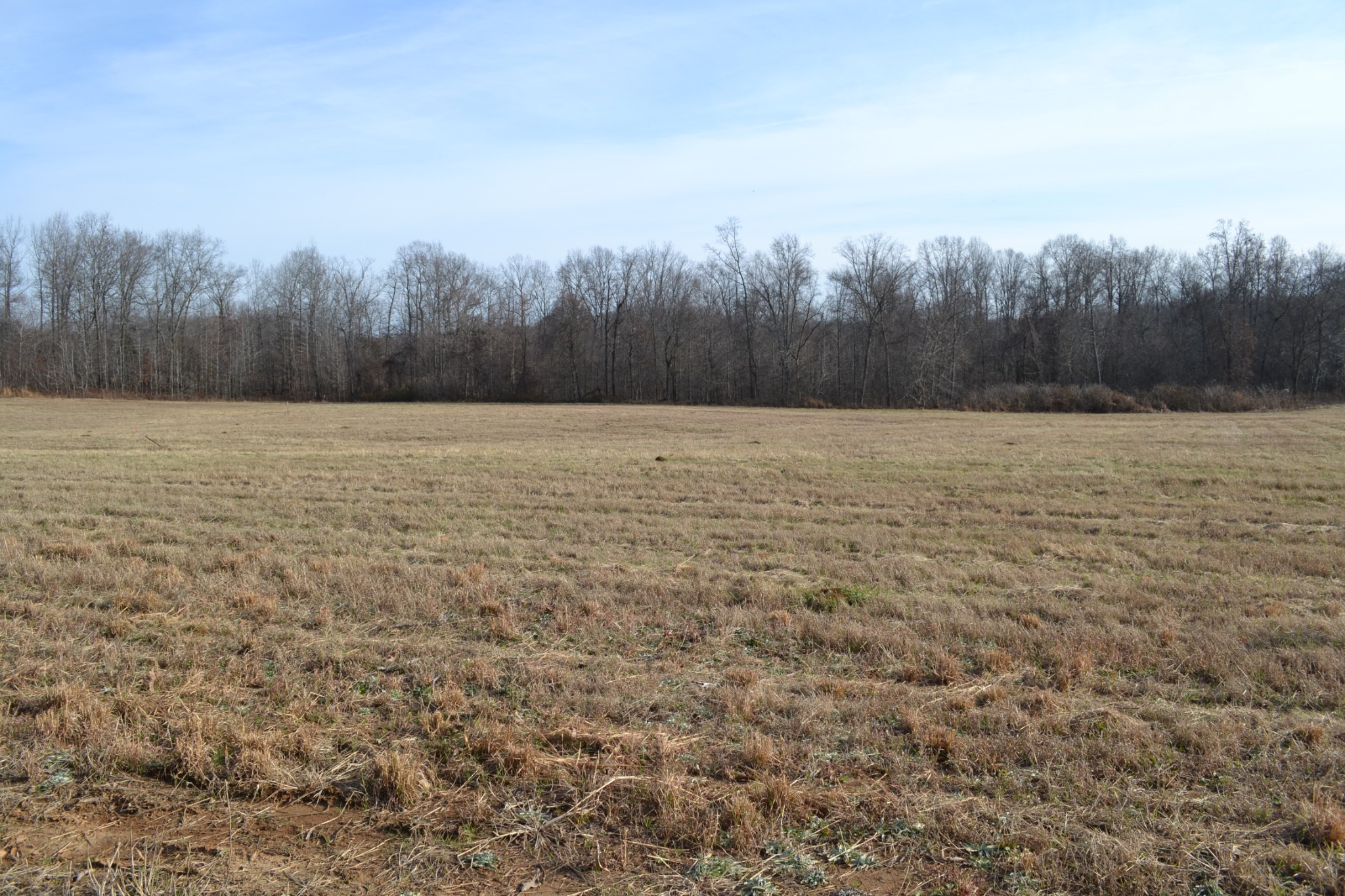2 Hayes Ridge Road Indian Mound, TN 37079 - Photo 12 of 18 Gallery Image 12