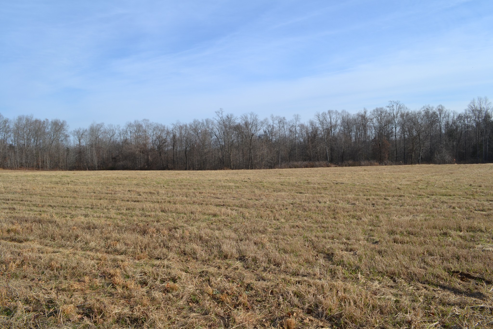 2 Hayes Ridge Road Indian Mound, TN 37079 - Photo 14 of 18 Gallery Image 14