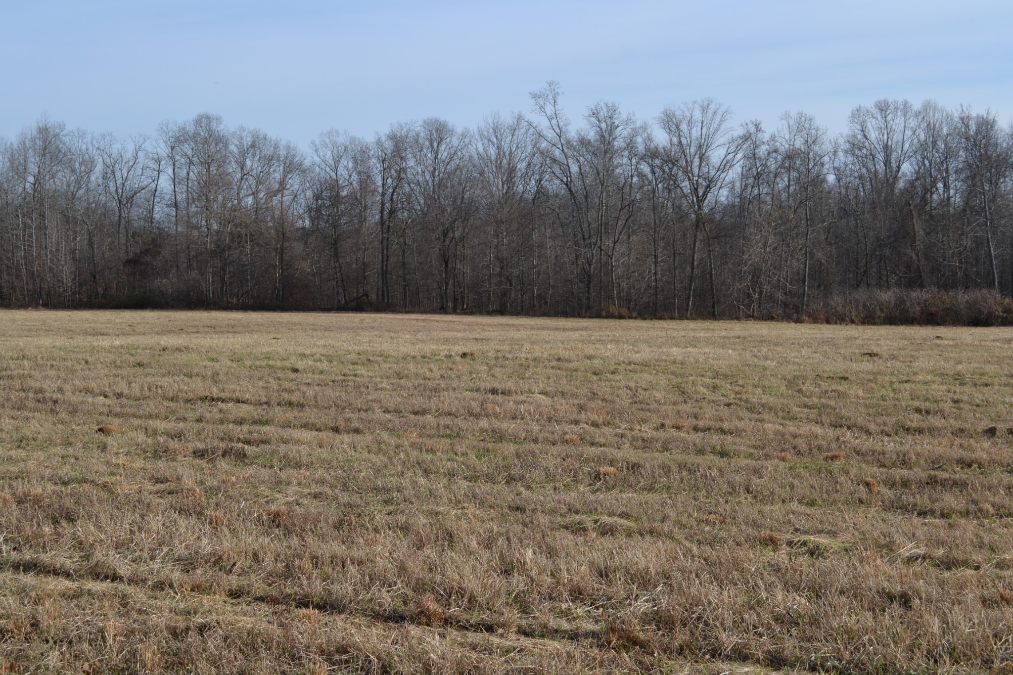 2 Hayes Ridge Road Indian Mound, TN 37079 - Photo 15 of 18 Gallery Image 15
