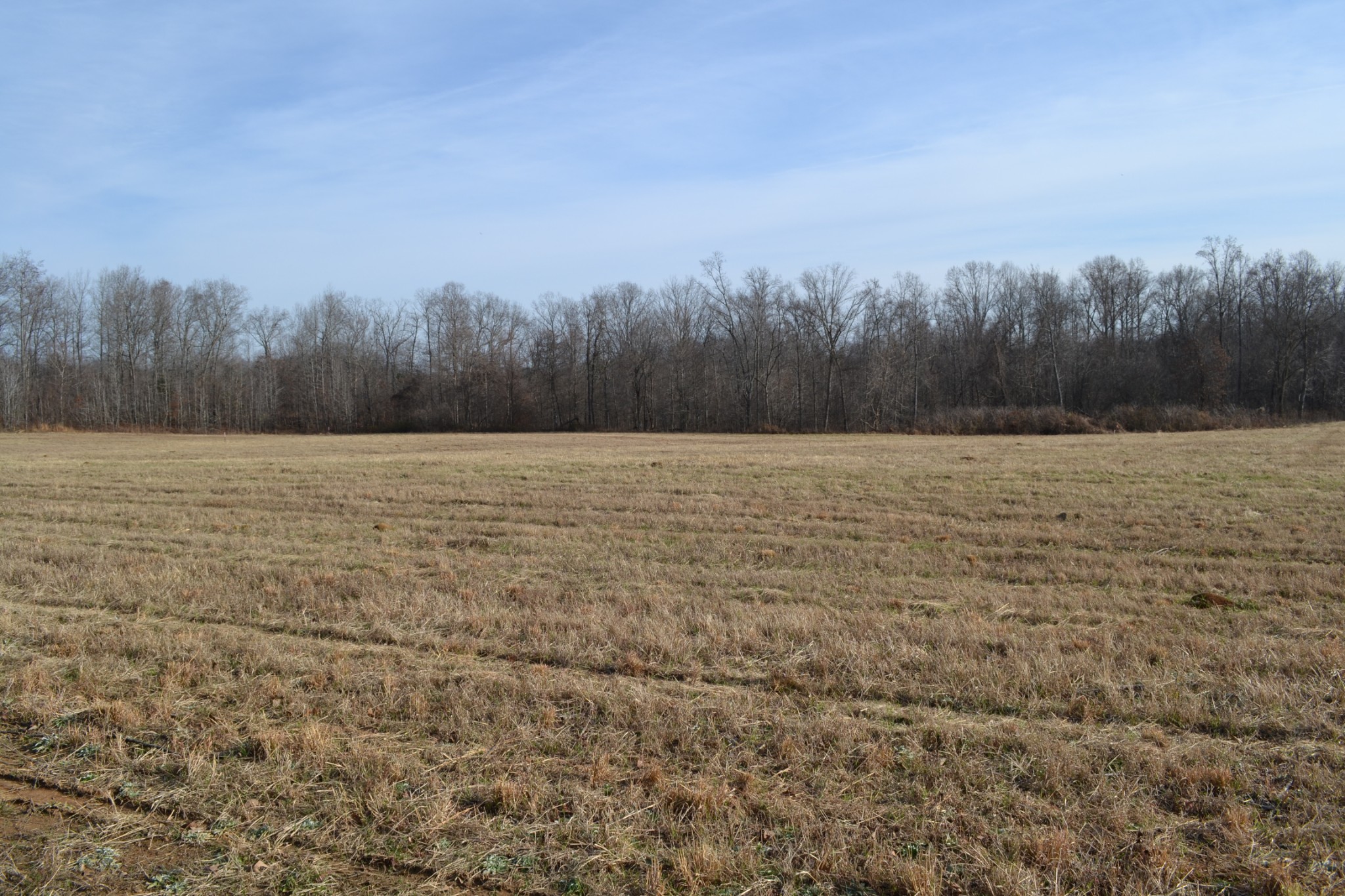 2 Hayes Ridge Road Indian Mound, TN 37079 - Photo 16 of 18 Gallery Image 16