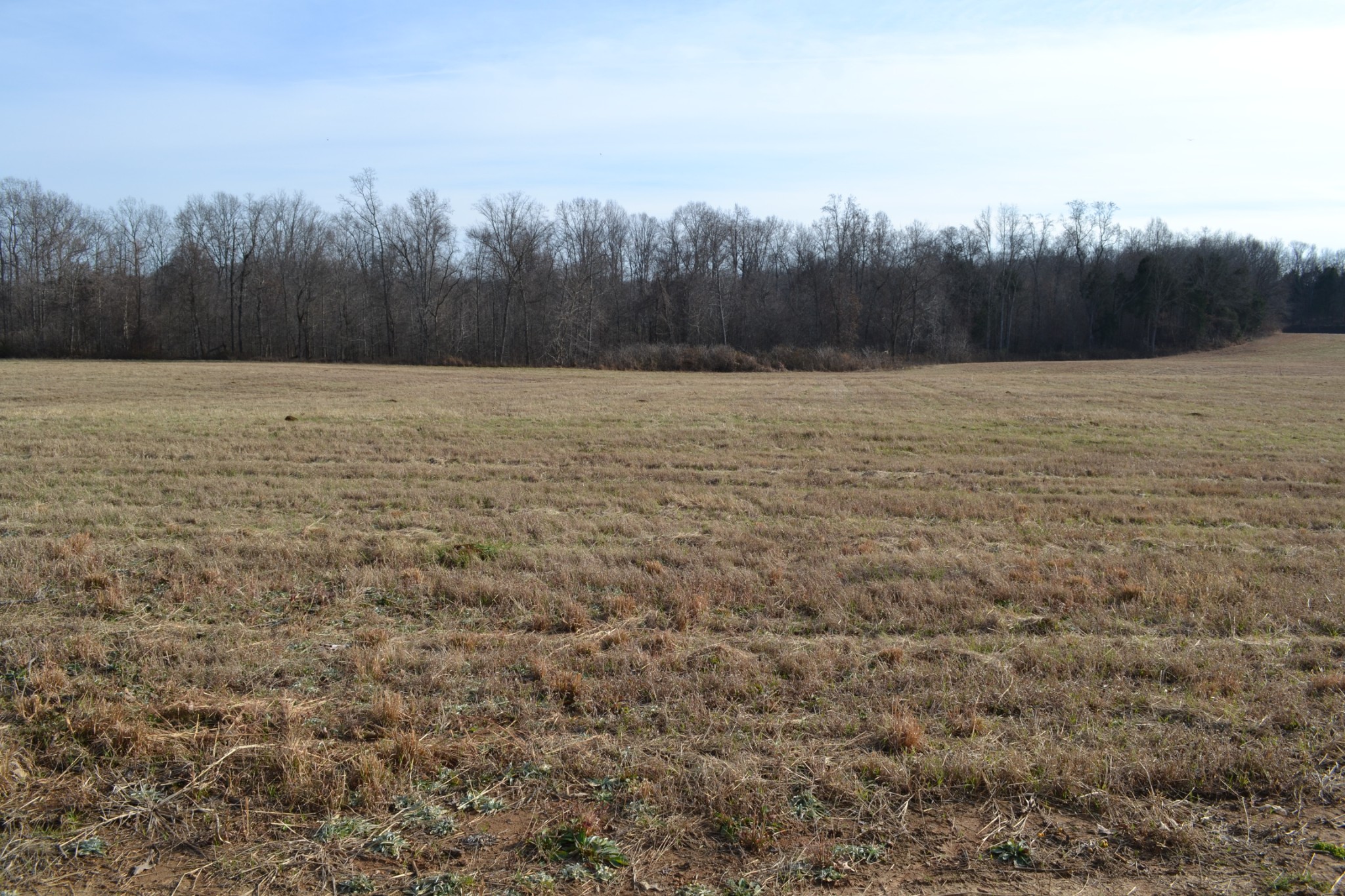 2 Hayes Ridge Road Indian Mound, TN 37079 - Photo 17 of 18 Gallery Image 17