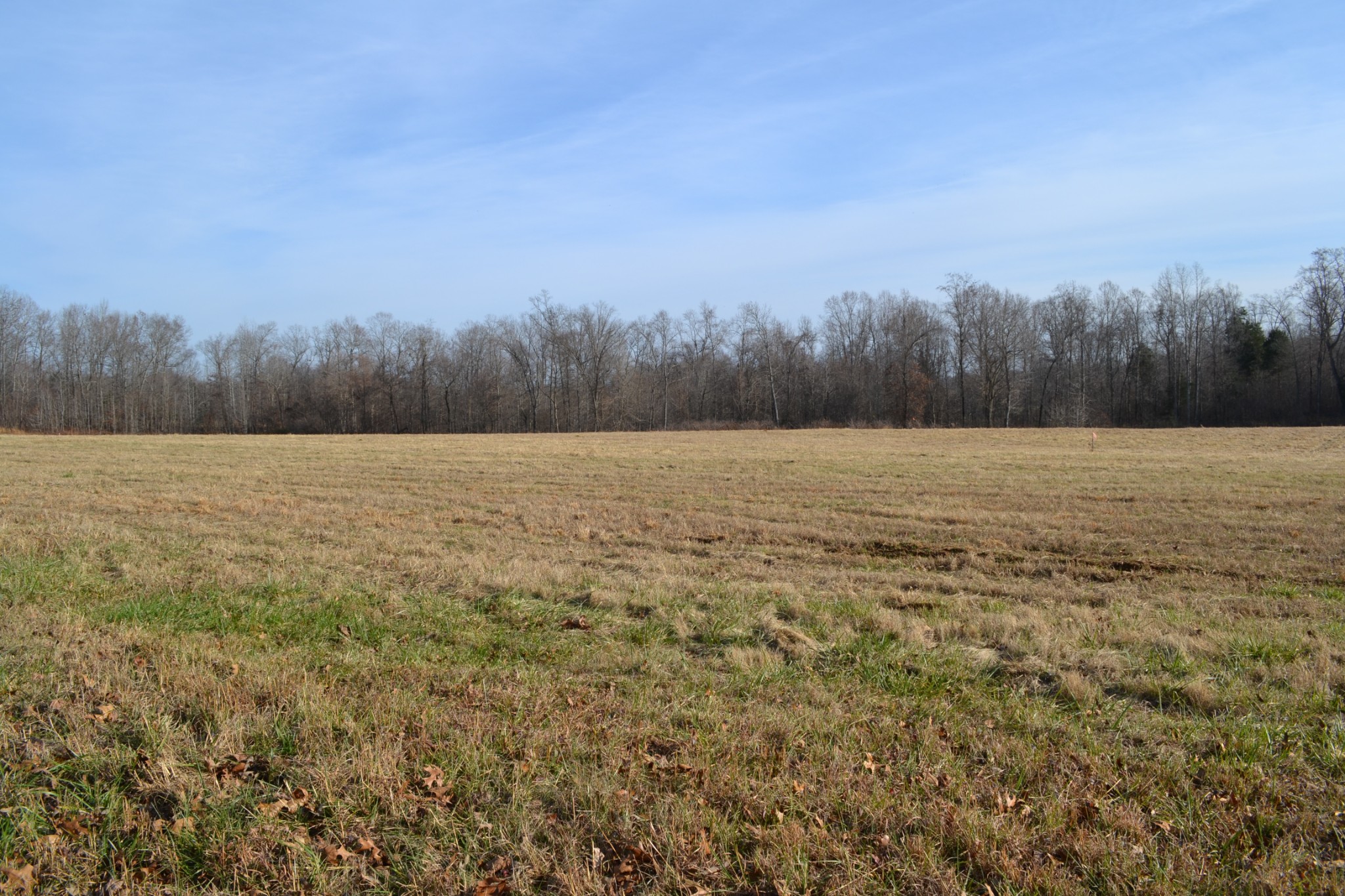 2 Hayes Ridge Road Indian Mound, TN 37079 - Photo 18 of 18 Gallery Image 18