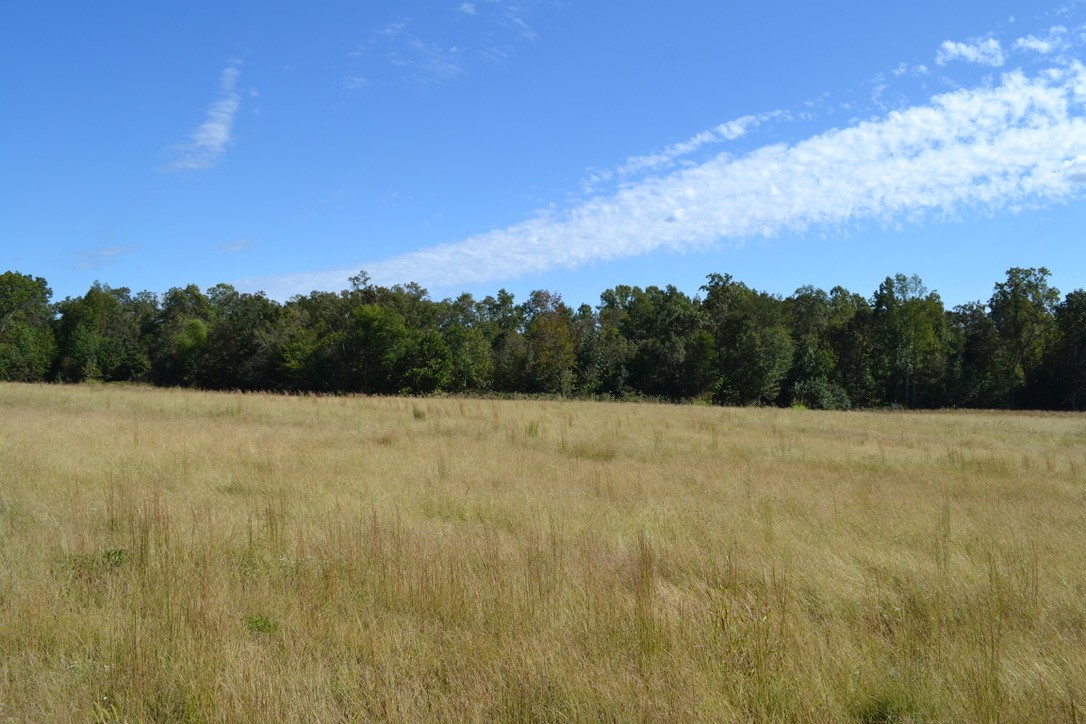 2 Hayes Ridge Road Indian Mound, TN 37079 - Photo 3 of 18 Gallery Image 3