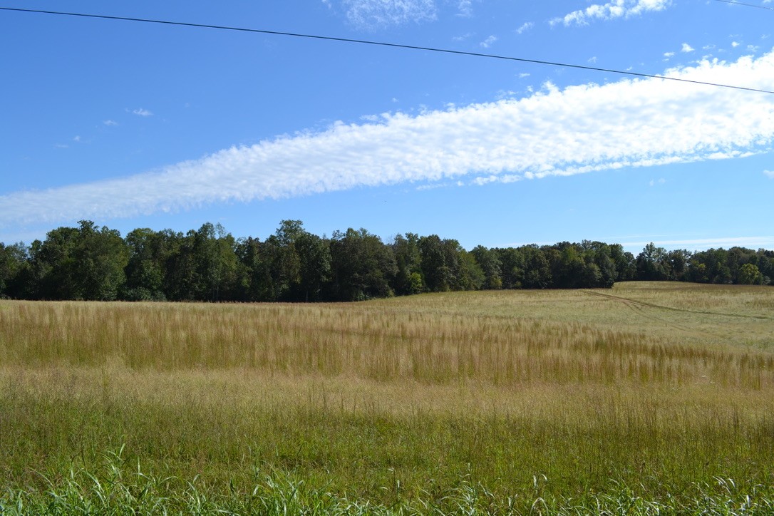 2 Hayes Ridge Road Indian Mound, TN 37079 - Photo 4 of 18 Gallery Image 4