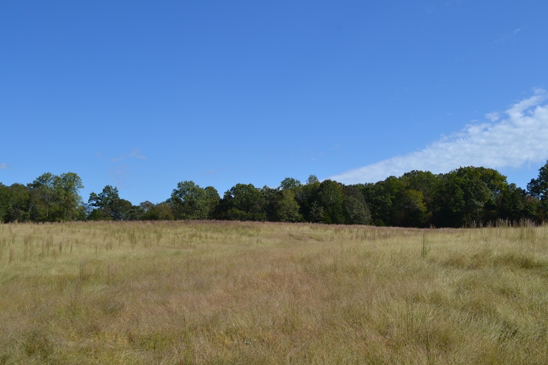 2 Hayes Ridge Road Indian Mound, TN 37079 - Photo 5 of 18 Gallery Image 5
