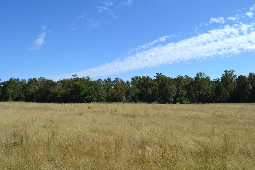 2 Hayes Ridge Road Indian Mound, TN 37079 - Photo 6 of 18 Gallery Image 6