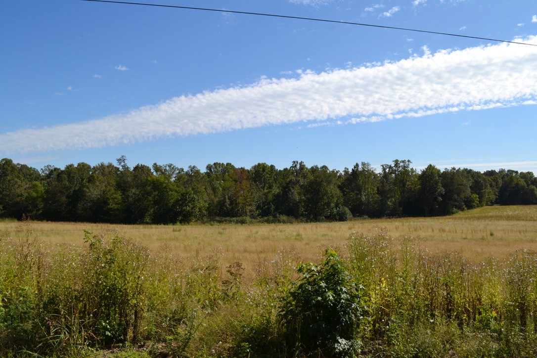 2 Hayes Ridge Road Indian Mound, TN 37079 - Photo 7 of 18 Gallery Image 7