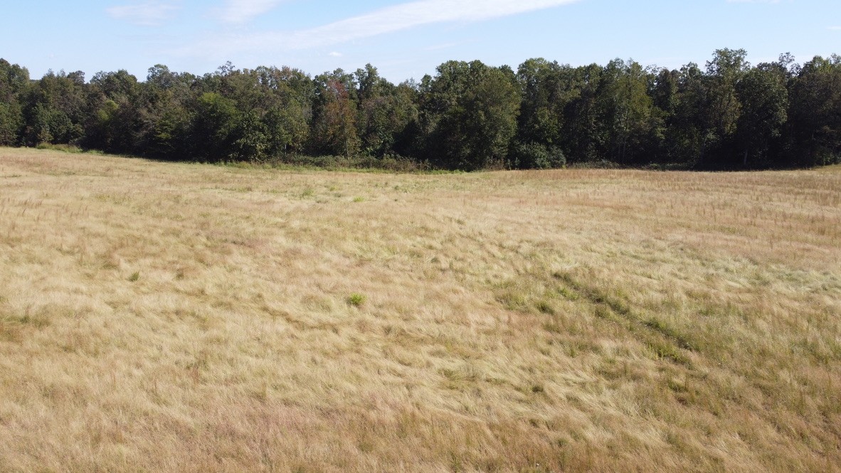 2 Hayes Ridge Road Indian Mound, TN 37079 - Photo 8 of 18 Gallery Image 8