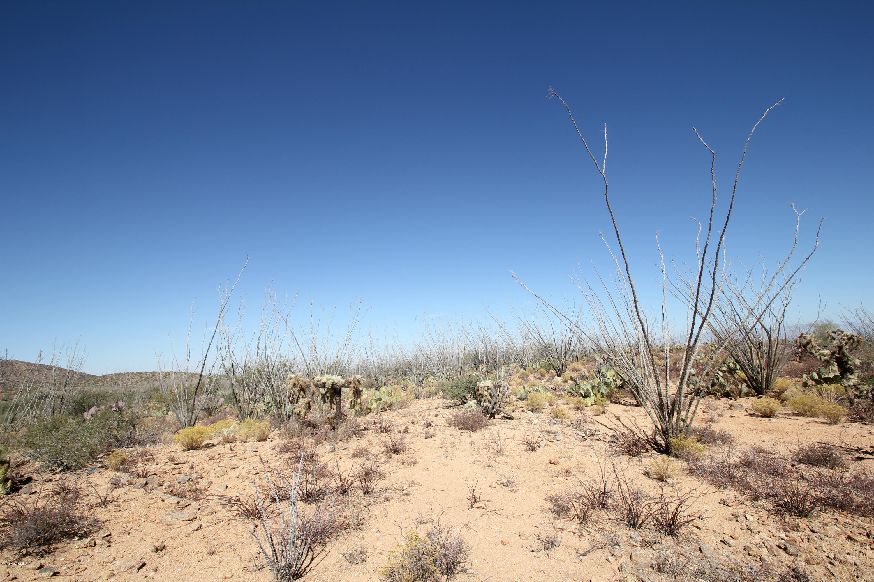 Pinto Road Sahuarita, AZ 85629 - Photo 7 of 17
