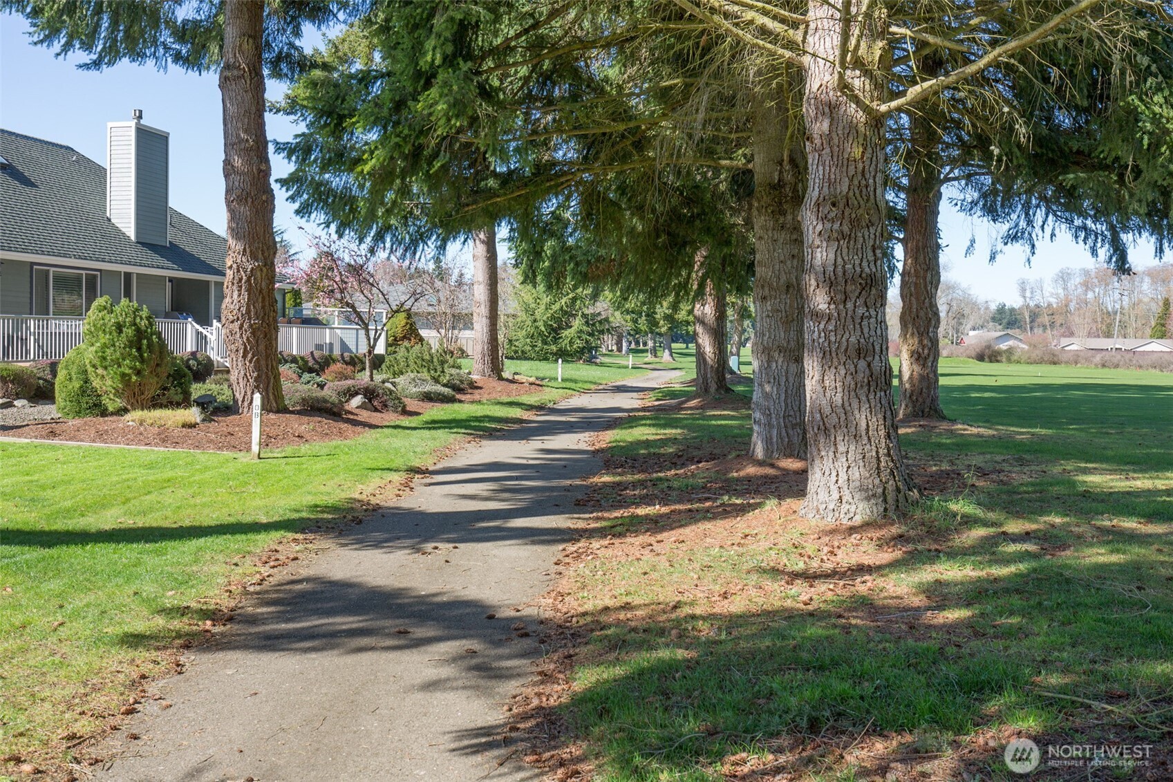 170 Hurricane Ridge Drive Sequim, WA 98382 - Photo 11 of 39 a view of a yard with palm trees