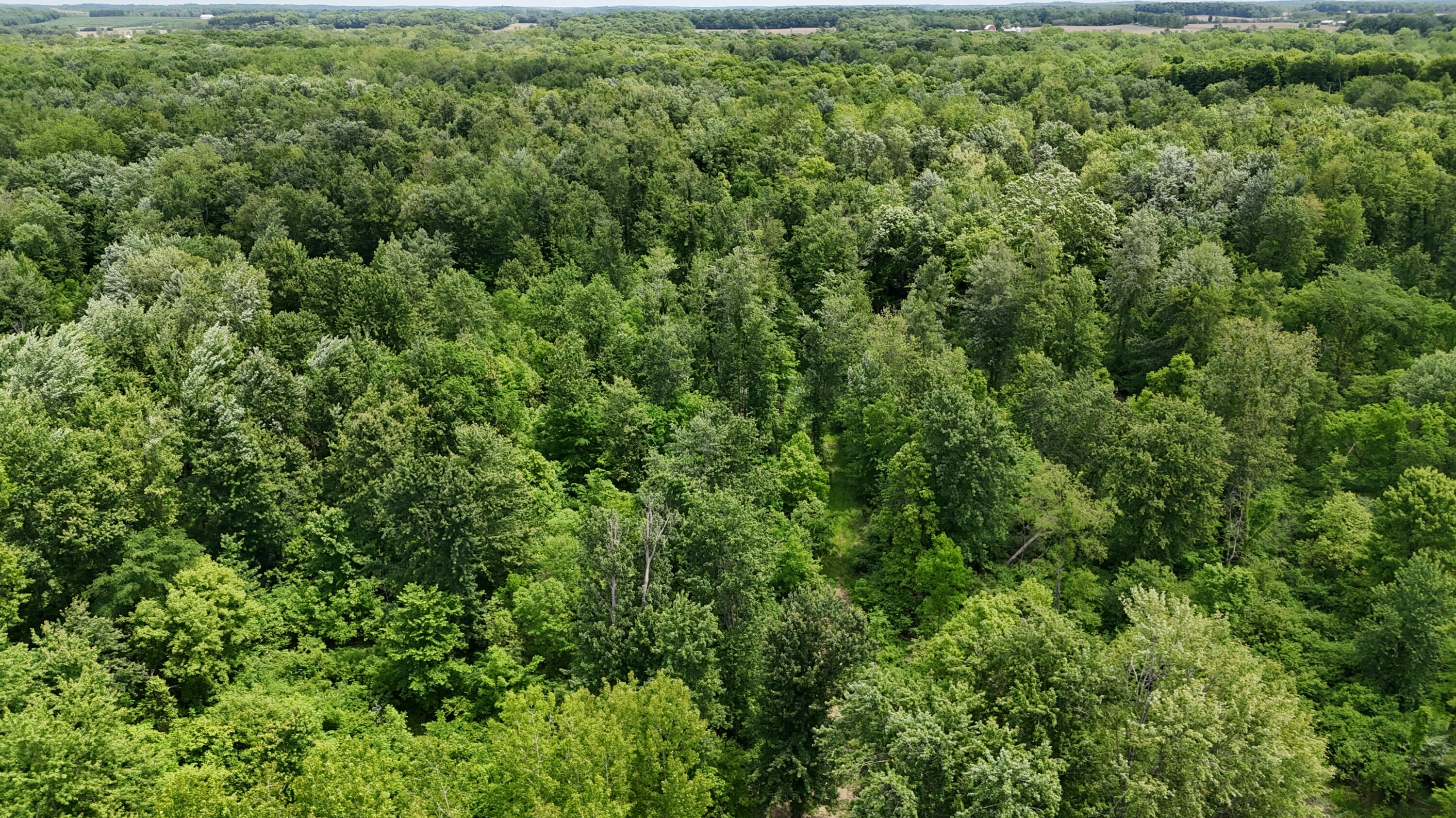 Klumbis Road Dowagiac, MI 49047 - Photo 36 of 40 DJI_20250530140502_0010_D