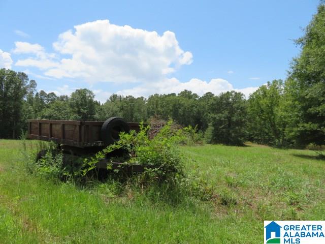 20025 Booler Road Vance, AL 35490 - Photo 44 of 48