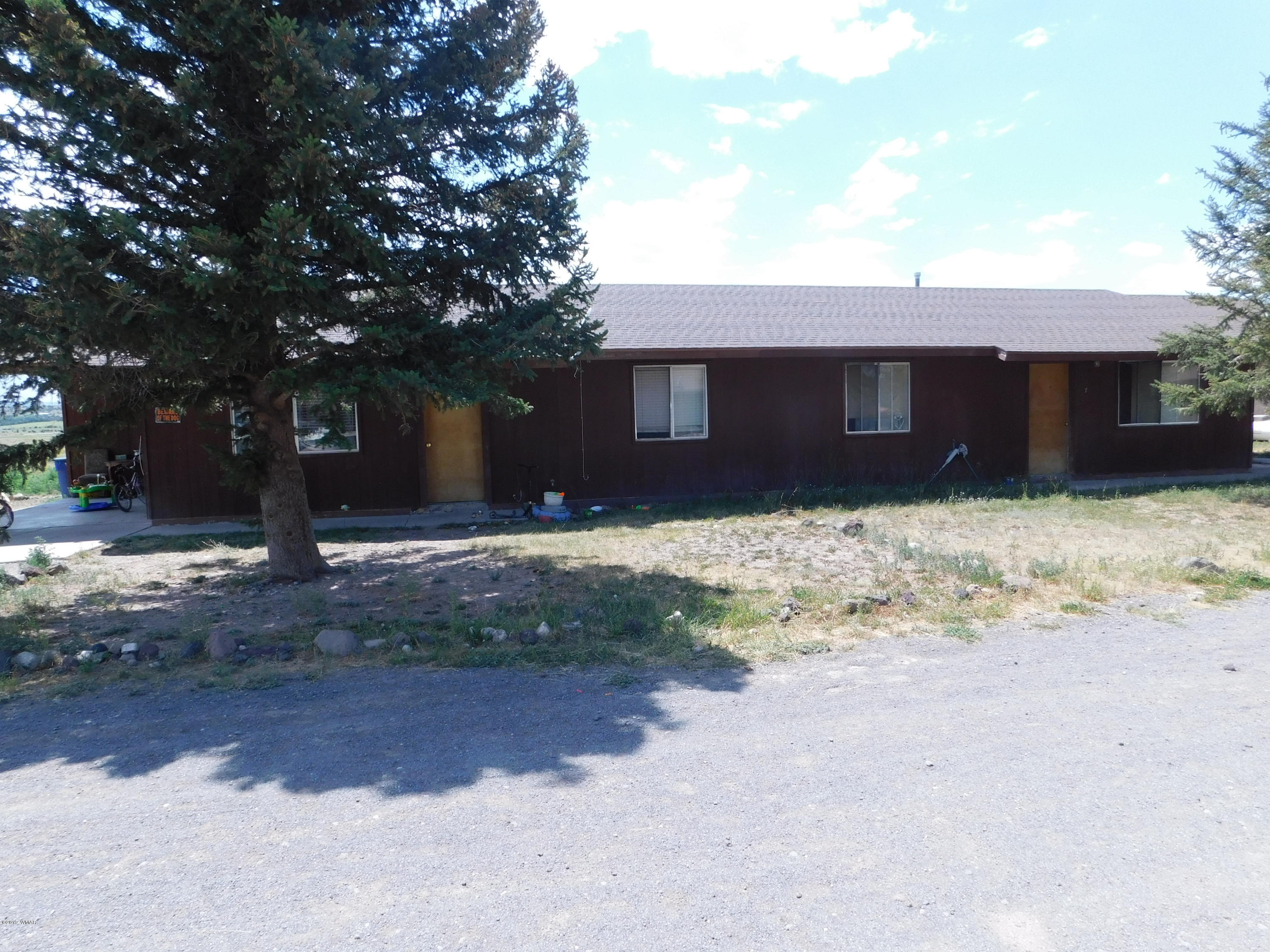 721 Lower County Road Springerville, AZ 85938 - Photo 1 of 8