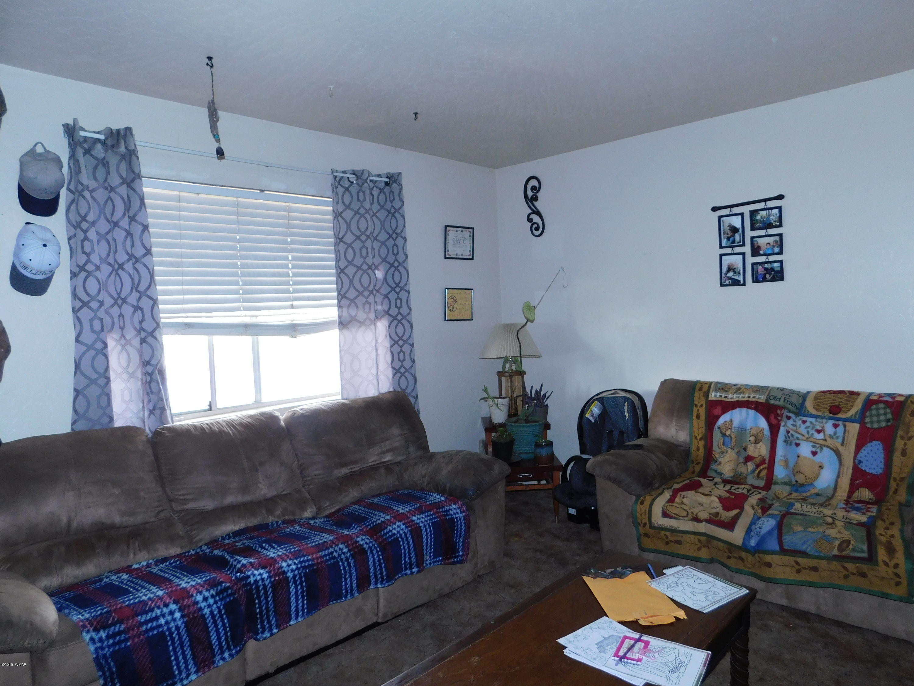 721 Lower County Road Springerville, AZ 85938 - Photo 2 of 8