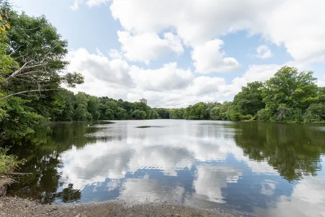 $2,600 | 33 Pond Avenue, Unit 301, Brookline, MA 02445