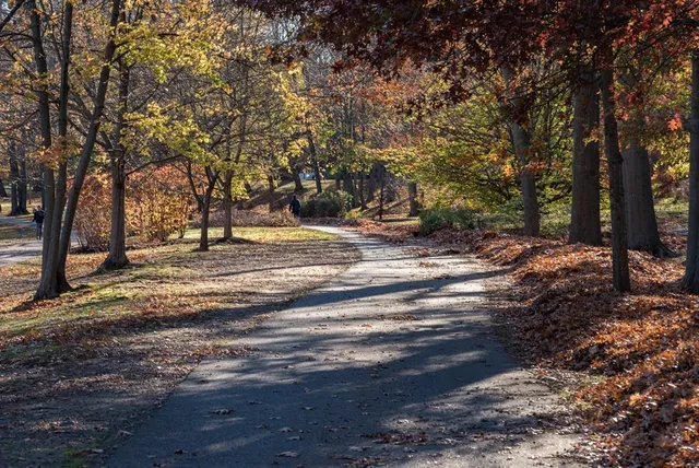 $2,600 | 33 Pond Avenue, Unit 301, Brookline, MA 02445