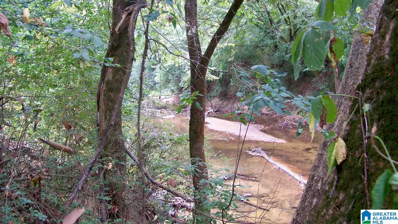 Hanson Road, Unit 33 Horton, AL 35980 - Photo 5 of 9