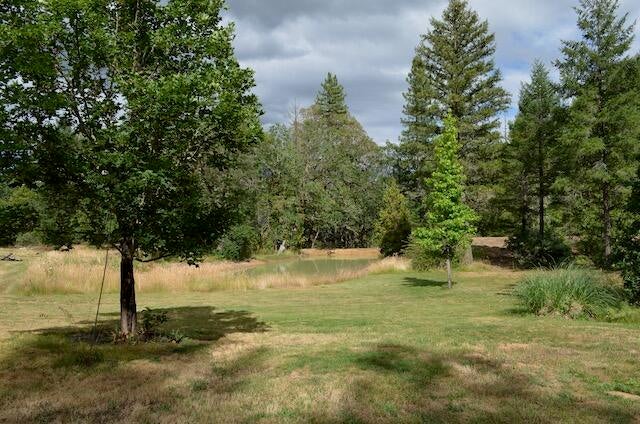 138 Draper Valley Road Selma, OR 97538 - Photo 15 of 42 17