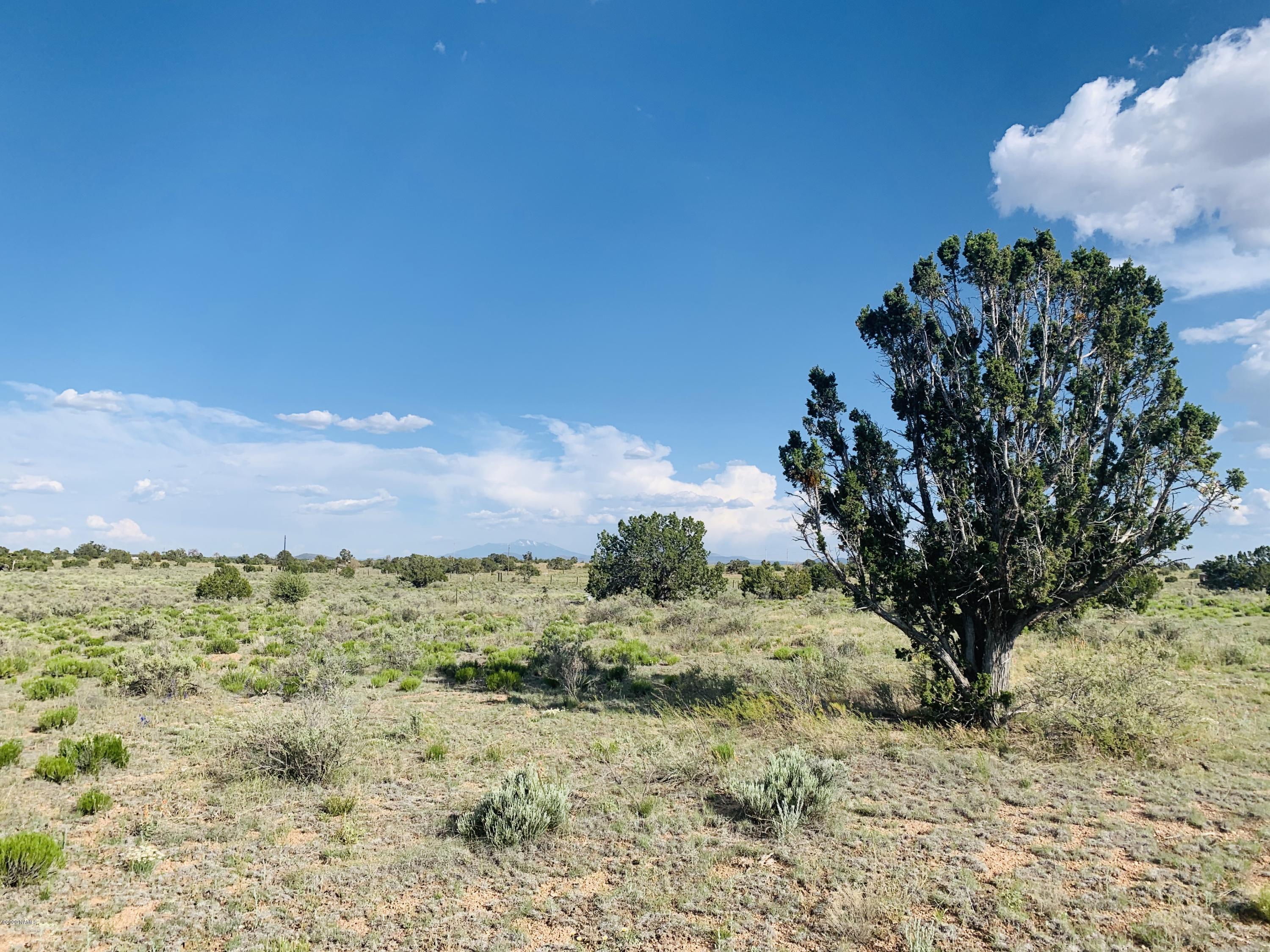 5150 North Woodland View Road Williams, AZ 86046 - Photo 1 of 9 5150 N Woodland View RD