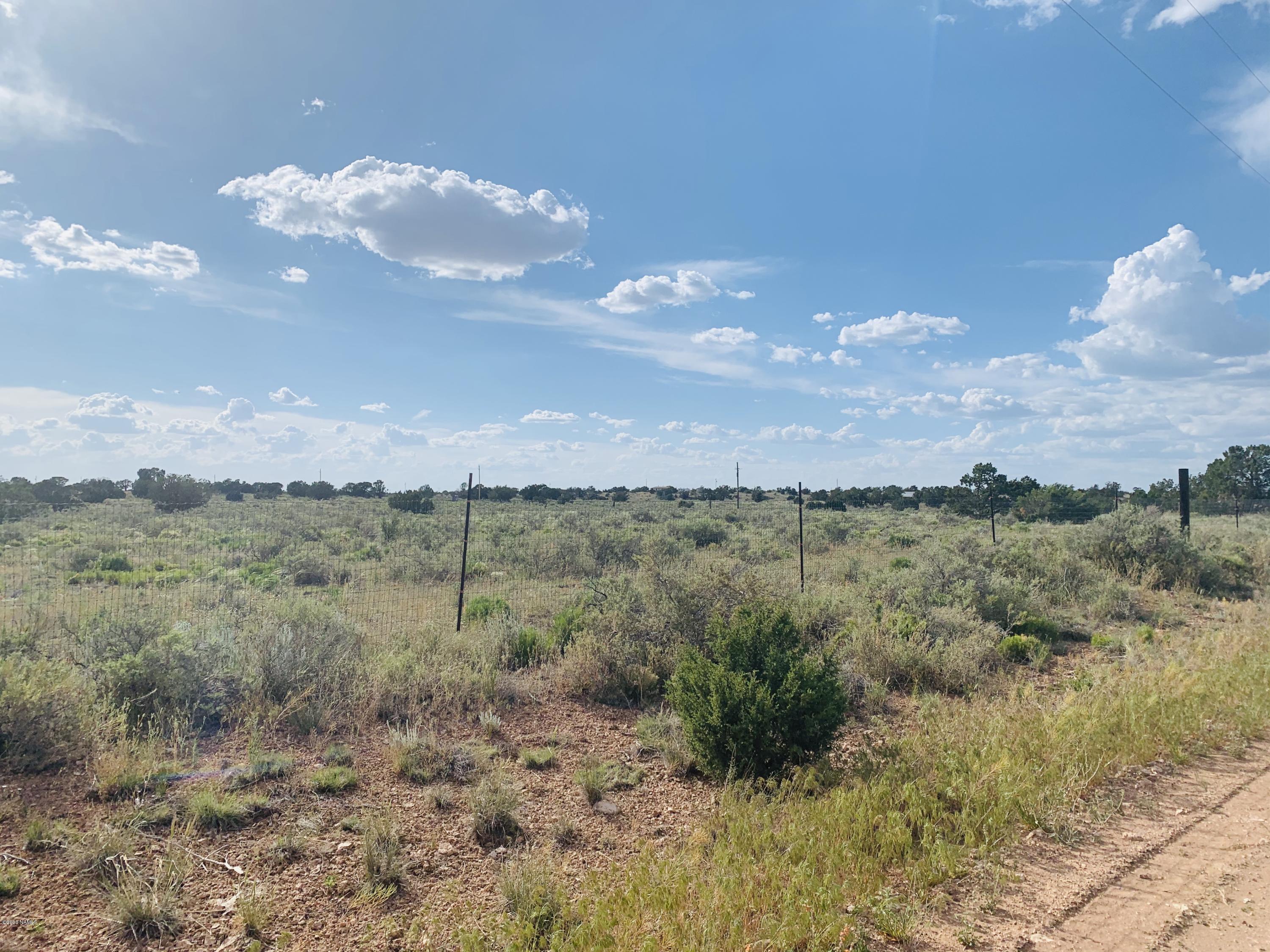 5150 North Woodland View Road Williams, AZ 86046 - Photo 4 of 9 5150 N Woodland View Rd Photo 4