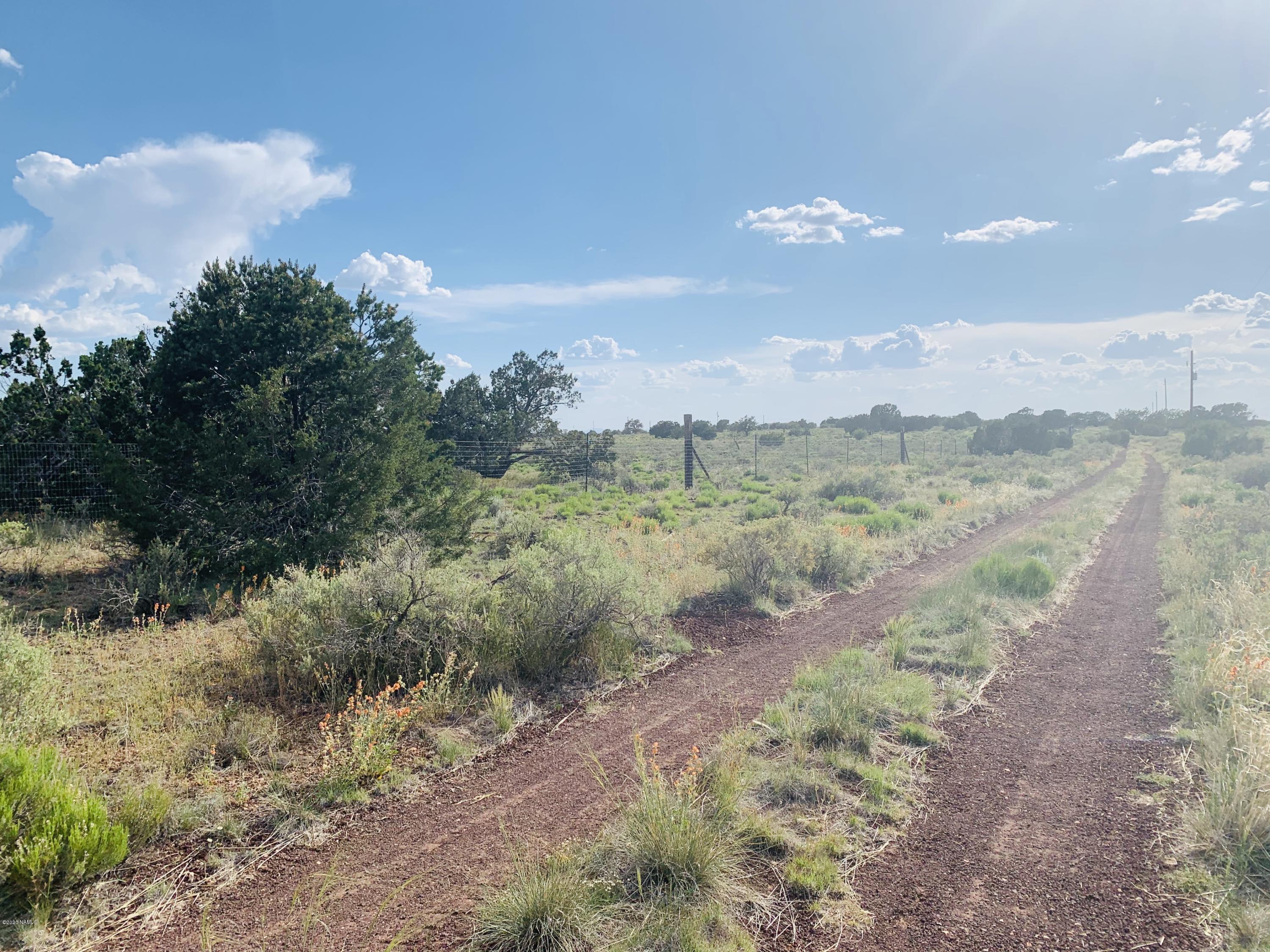 5150 North Woodland View Road Williams, AZ 86046 - Photo 6 of 9 5150 N Woodland View Rd Photo 6