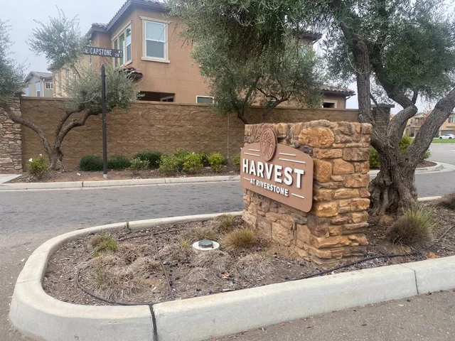 a view of a street with a tree