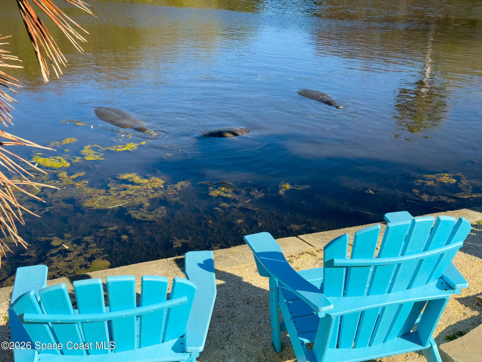 999 Sunswept Road Northeast Palm Bay, FL 32905 - Photo 67 of 85 JCP_LLC9421