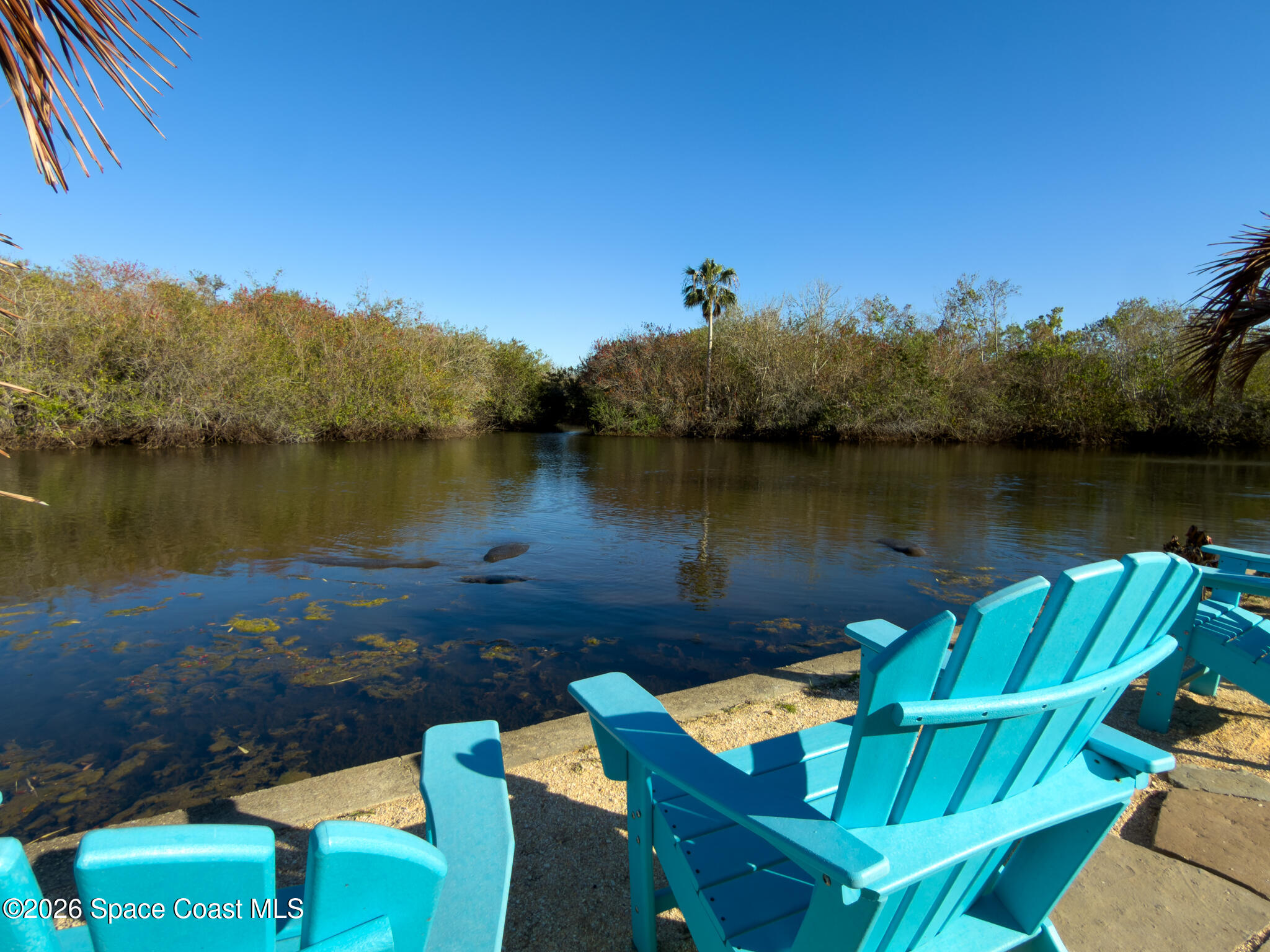 999 Sunswept Road Northeast Palm Bay, FL 32905 - Photo 69 of 85 JCP_LLC9425