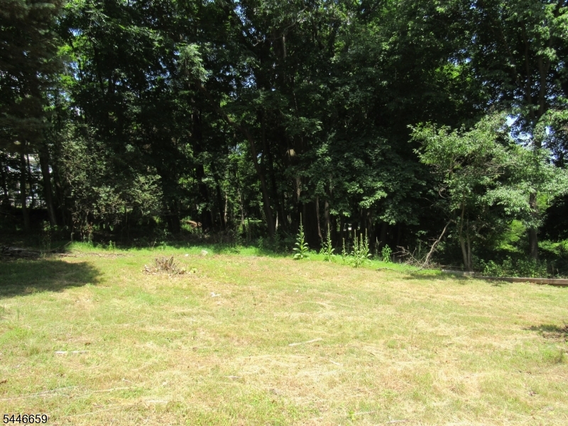 19 New Street High Bridge, NJ 08829 - Photo 3 of 29