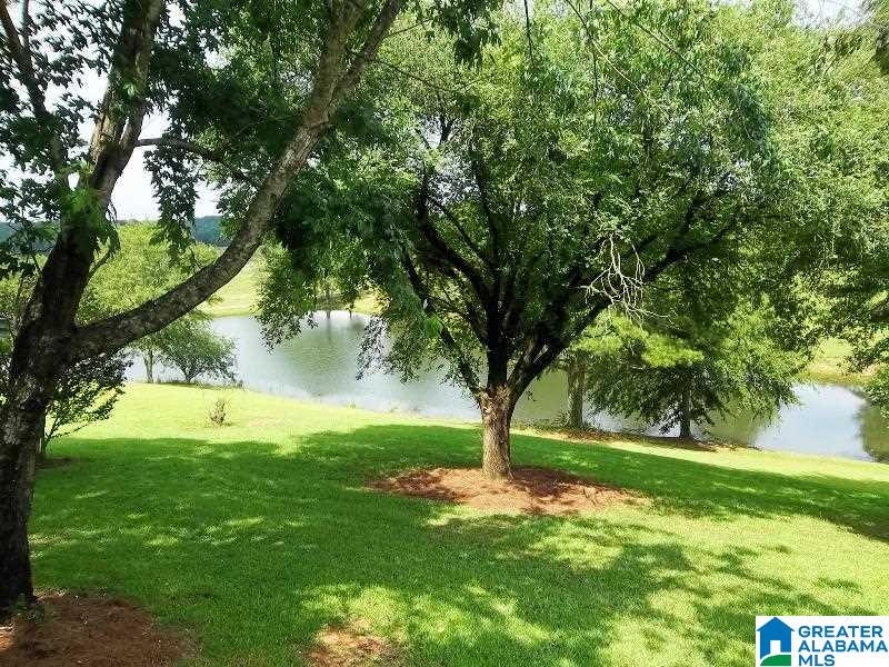 310 Olive Branch Road Ashland, AL 36251 - Photo 4 of 32