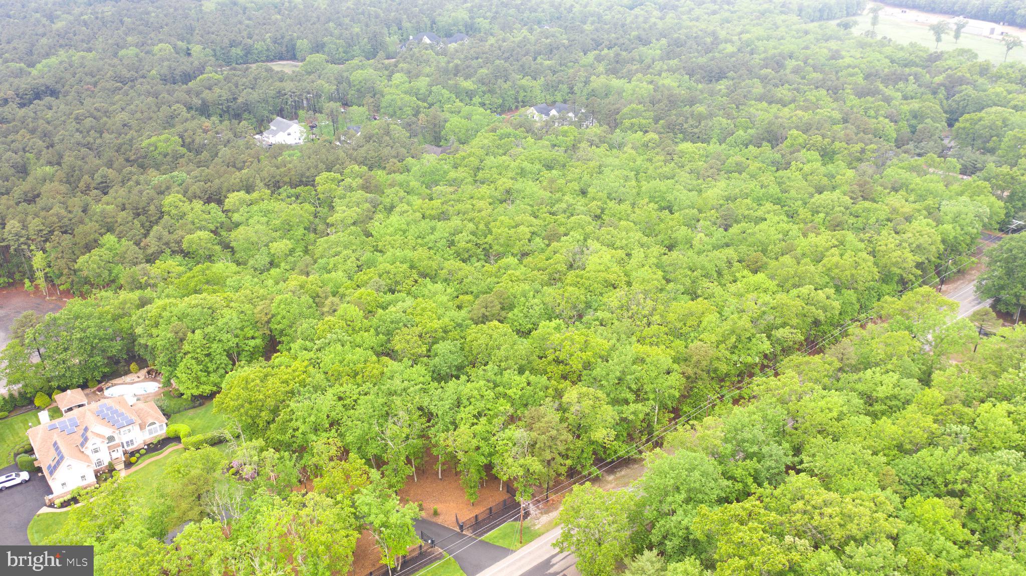 1 Red Onion Road Shamong, NJ 08088 - Photo 4 of 5