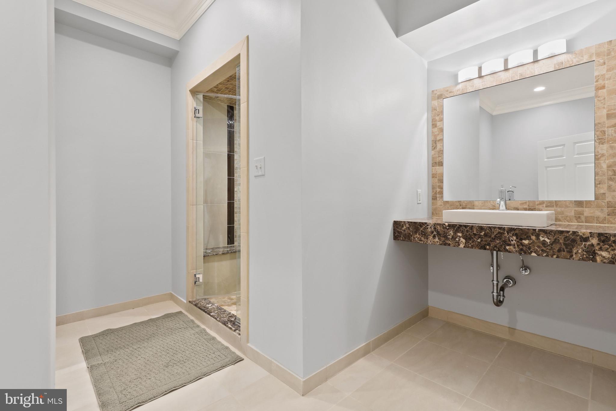 960 Western Run Road Cockeysville, MD 21030 - Photo 44 of 60 Lower Level Bath