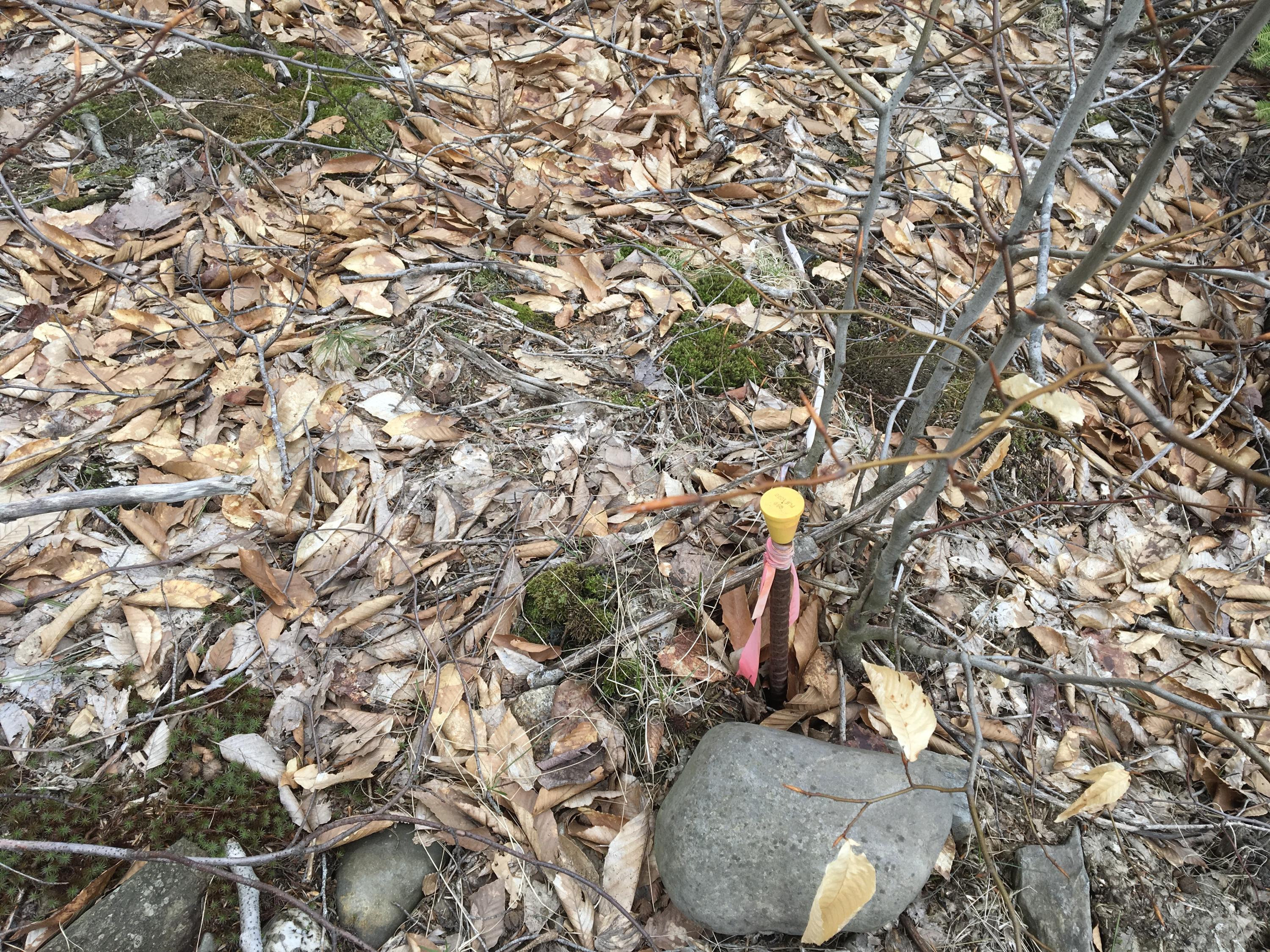 5 Map Road Lowell, ME 04493 - Photo 4 of 13 Photo Apr 22, 1 55 55 PM