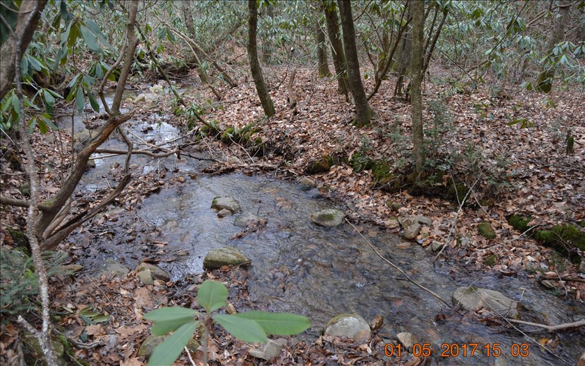 Chestnut Flats Road Andrews, NC 28901 - Photo 1 of 1 Main View