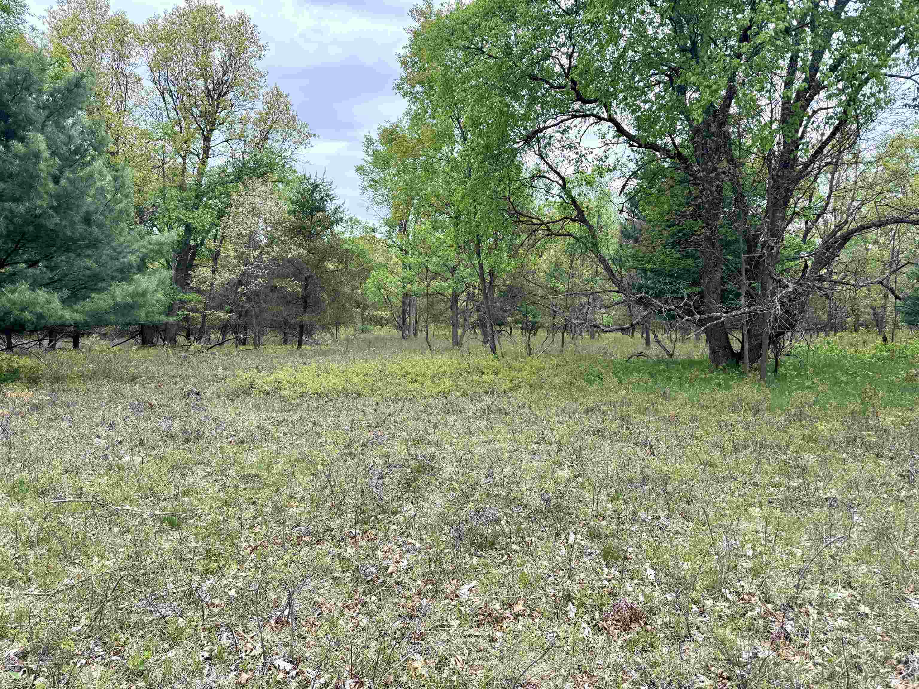 Parcel D West Rosted Road Lake City, MI 49651 - Photo 5 of 18