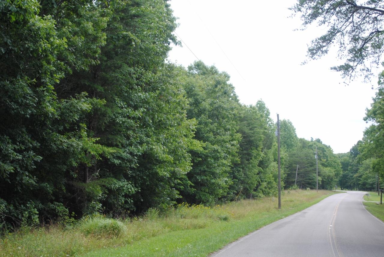 2596 Old State Road Cloudland, GA 30731 - Photo 11 of 49 DSC_0017 (1280x857)