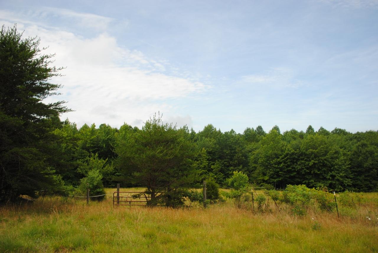 2596 Old State Road Cloudland, GA 30731 - Photo 14 of 49 DSC_0021 (1280x857)